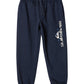 Quiksilver Boys Age Of Blue Fleece Jogger