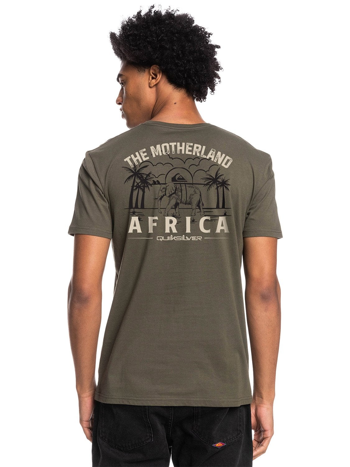 Quiksilver Men's Africa Land T-Shirt