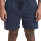 RVCA Men's Elastic 17" Walkshort