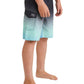 Billabong Boys Volts OG Core Fit 17" Boardshort