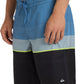 Quiksilver Men's Everyday Padang 20" Boardshort