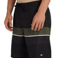 Quiksilver Men's Everyday Padang 20" Boardshort