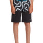 Quiksilver Boys Everyday Division 20" Boardshort