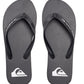 Quiksilver Men's Molokai Core Flip Flop
