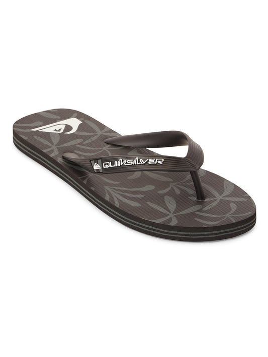 Quiksilver Men's Molokai Art II Flip Flop