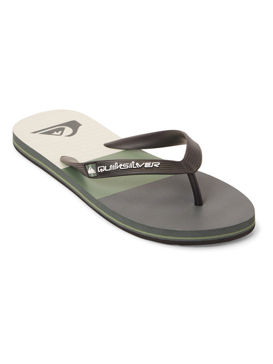 Quiksilver Men's Molokai Stripe Flip Flop