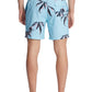 Billabong Men's Hazey Daze 17" Volley