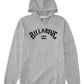Billabong Boys Arch Wave Hooded Pullover