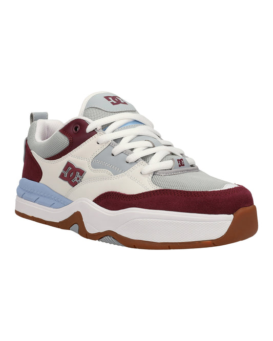DC Men's Ascend Shoe