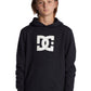 DC Boys DC Star Hooded Pullover