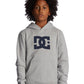 DC Boys DC Star Hooded Pullover