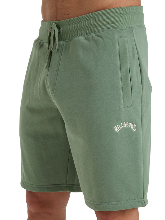 Billabong Men's Arch Walkshort