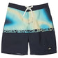 Quiksilver Boys Everyday Half Jam 17" Boardshort