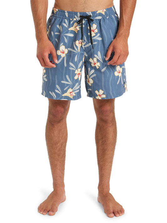 Quiksilver Men's Everyday Straight 17" Volley