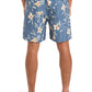 Quiksilver Men's Everyday Straight 17" Volley