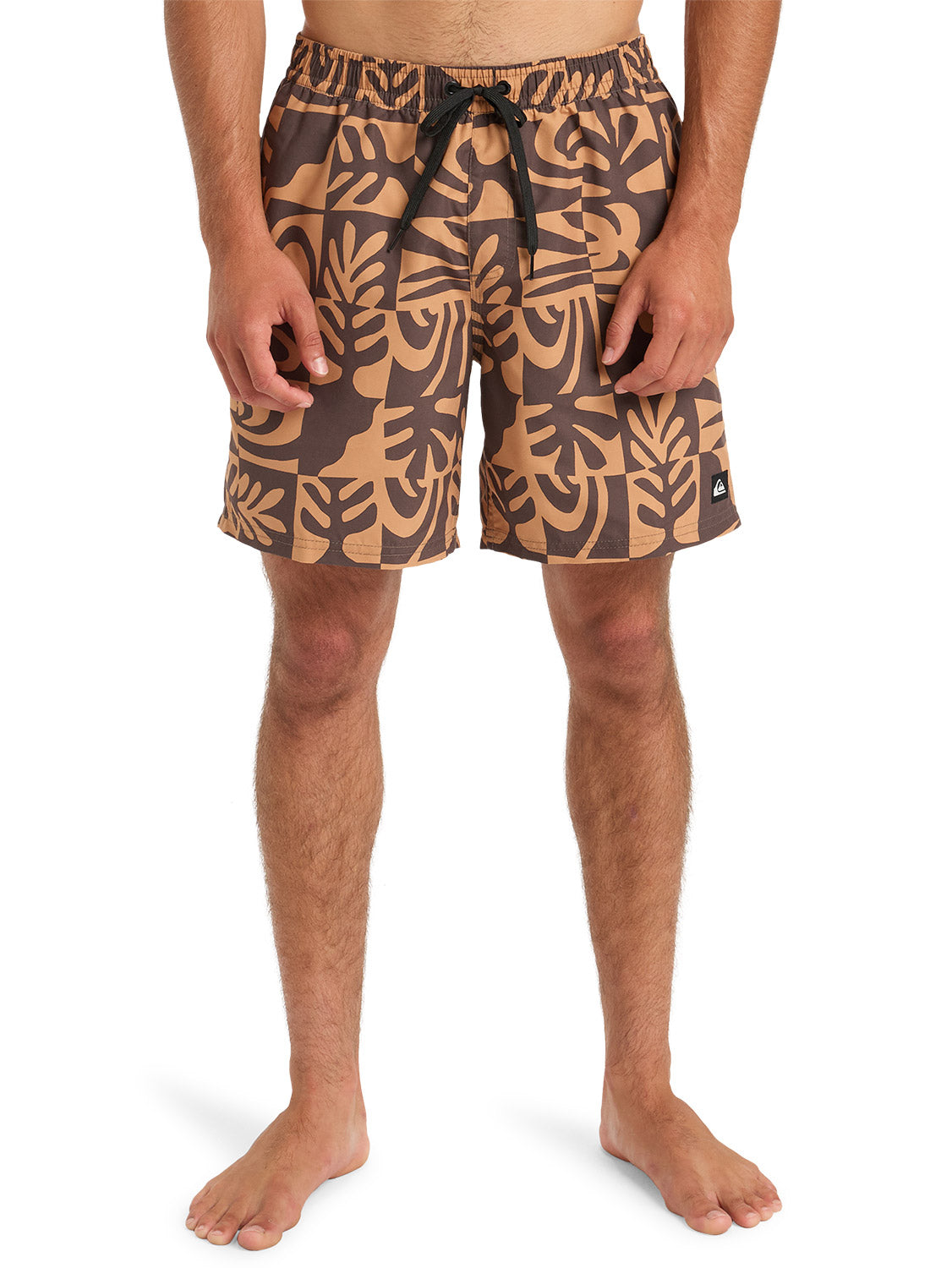 Quiksilver Men's Everyday Straight 17" Volley