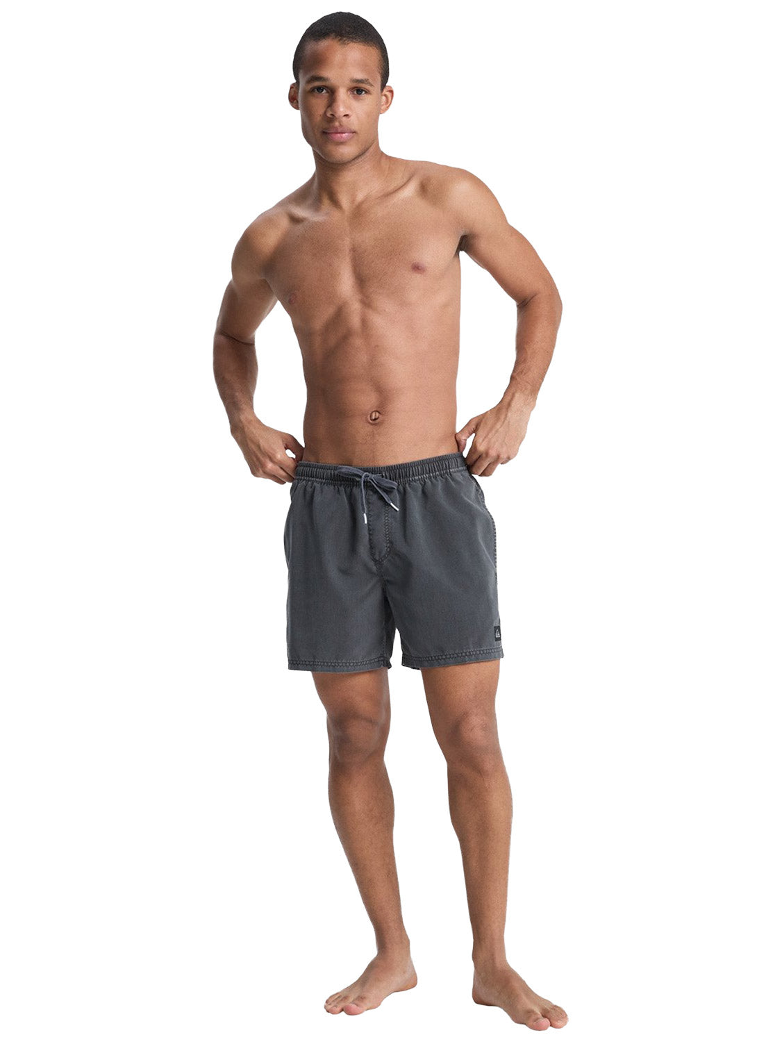 Quiksilver Men's Everyday Surfwash 15" Volley