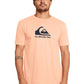 Quiksilver Men's Corp Logo T-Shirt