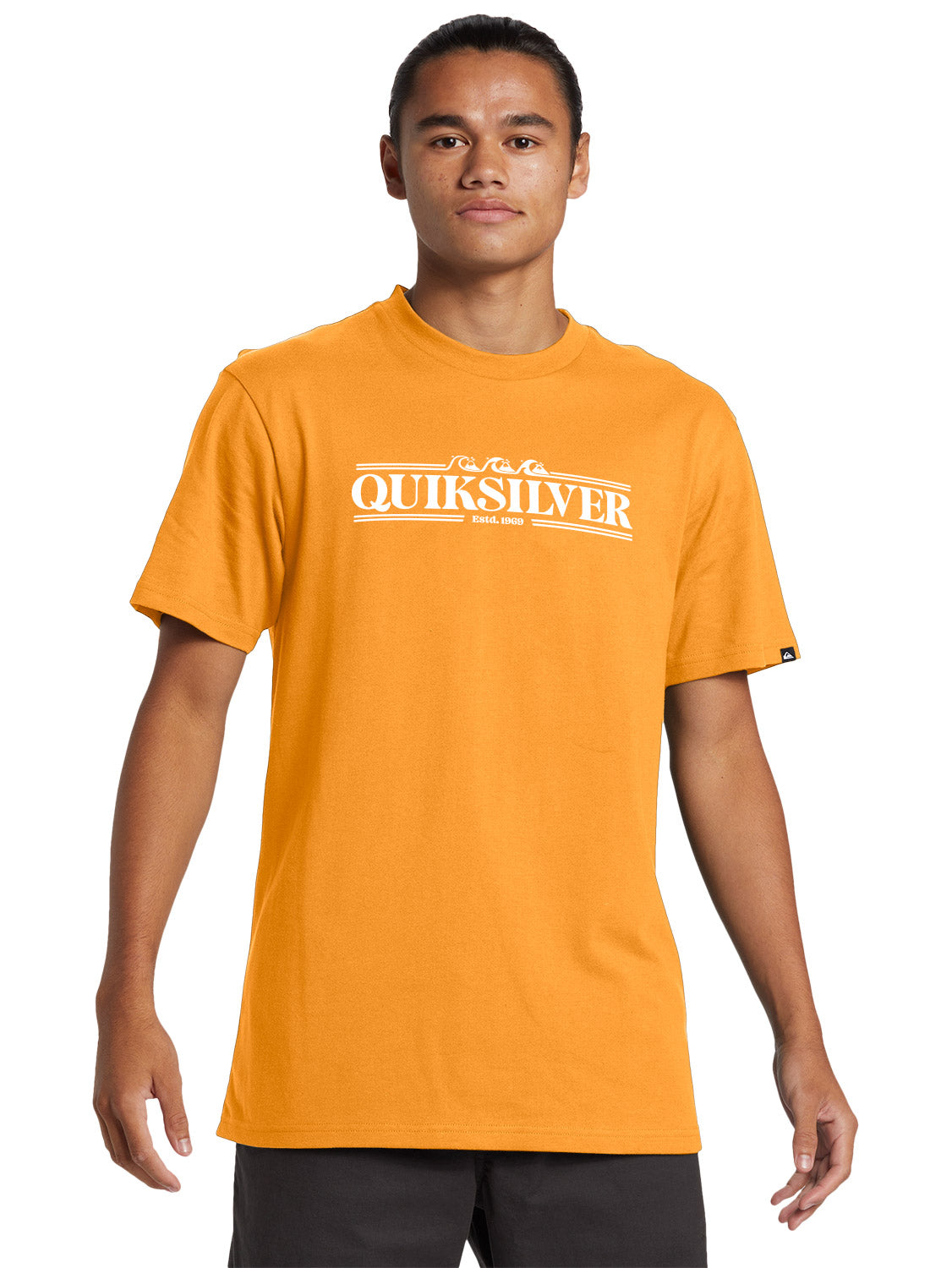 Quiksilver Men's Gradient Lines T-Shirt