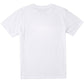 RVCA Men's VA Box SA Flag T-Shirt