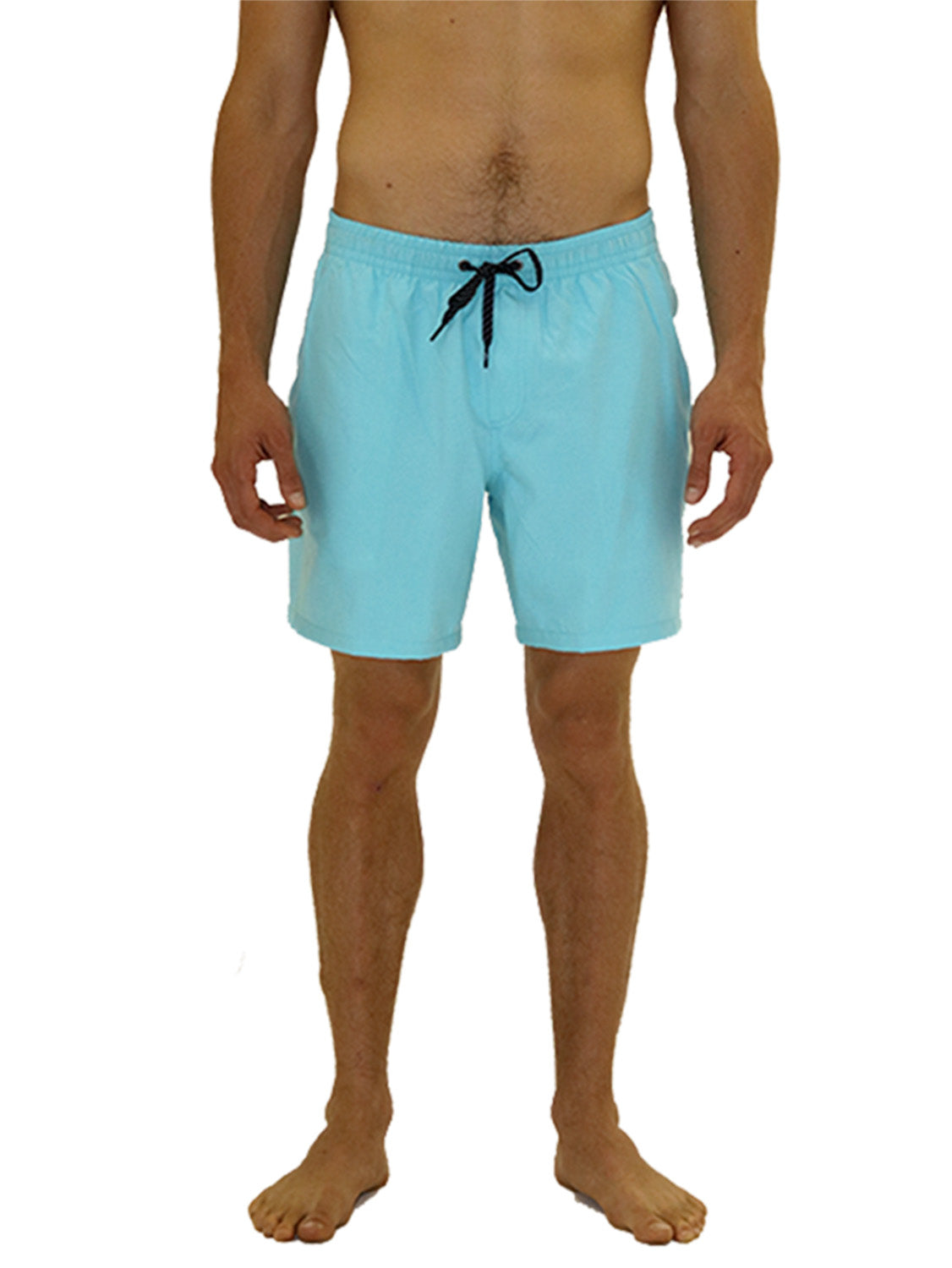 Mens Volley Shorts Boardriders
